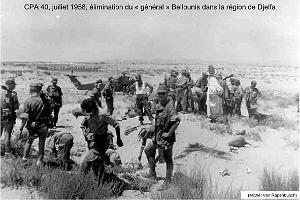 154 - ARMEE DE L'AIR EN ALGERIE 1945-1962-2 (67)
